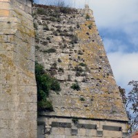 La toiture en pierre du bras nord du transept vue de l'est (2017)