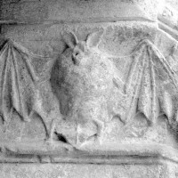 Chauve-souris sculptée au piédroit de droite du portail nord (1979)