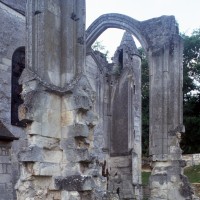 Les vestiges du transept et du choeur vus du sud-est (1995)